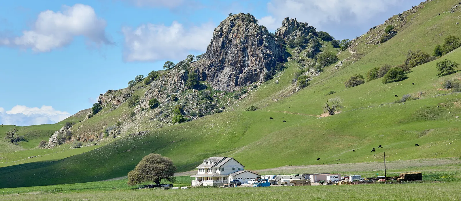 Green hills and ranch land at the Sutter Buttes