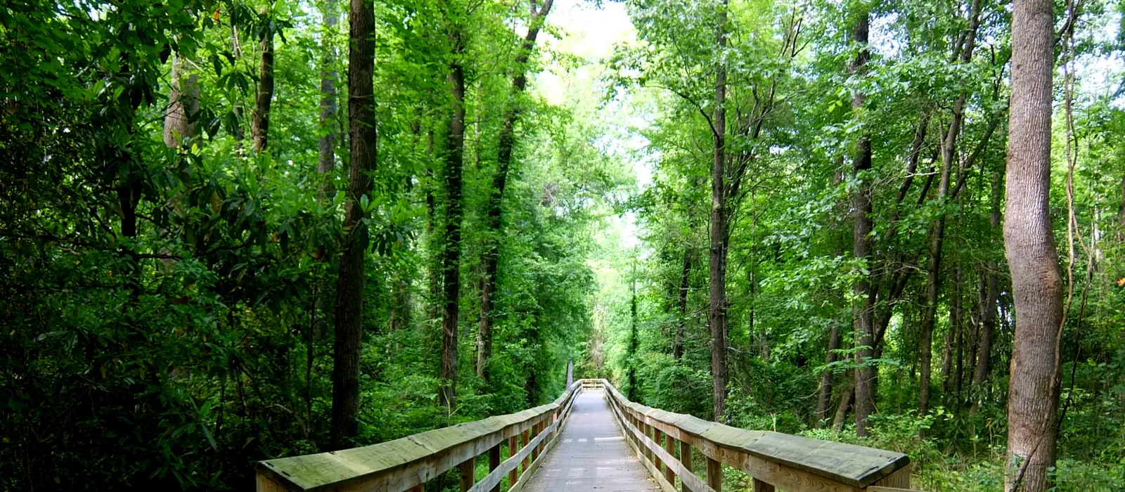 The Cape Fear River Trail in Fayetteville