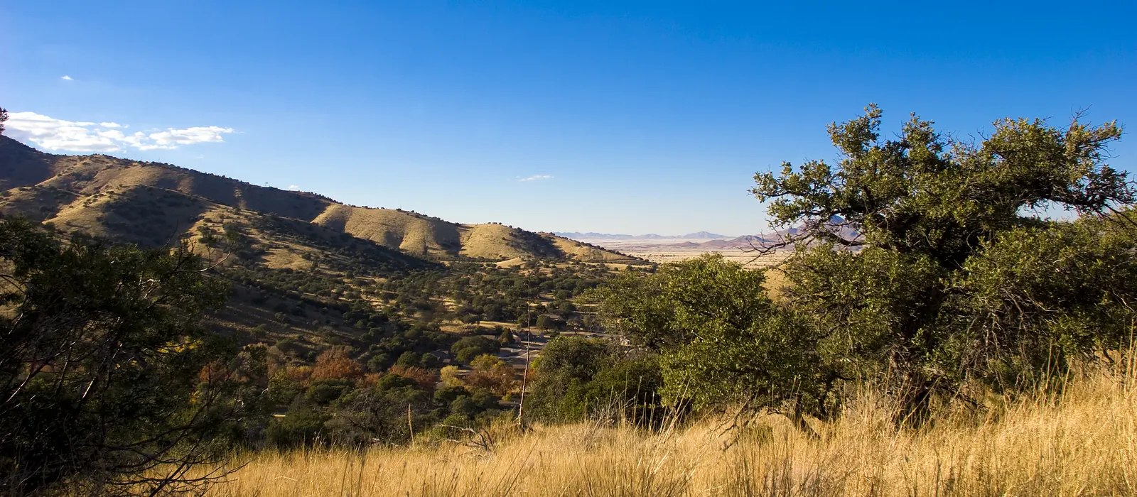 The Huachuca Mountains of Cochise County in autumn