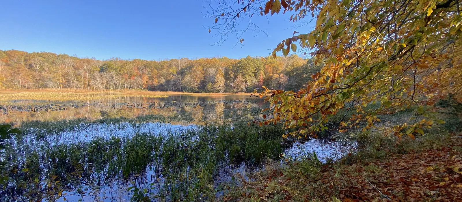 Beaver Lake at Pocahontas State Park, near Fort Lee