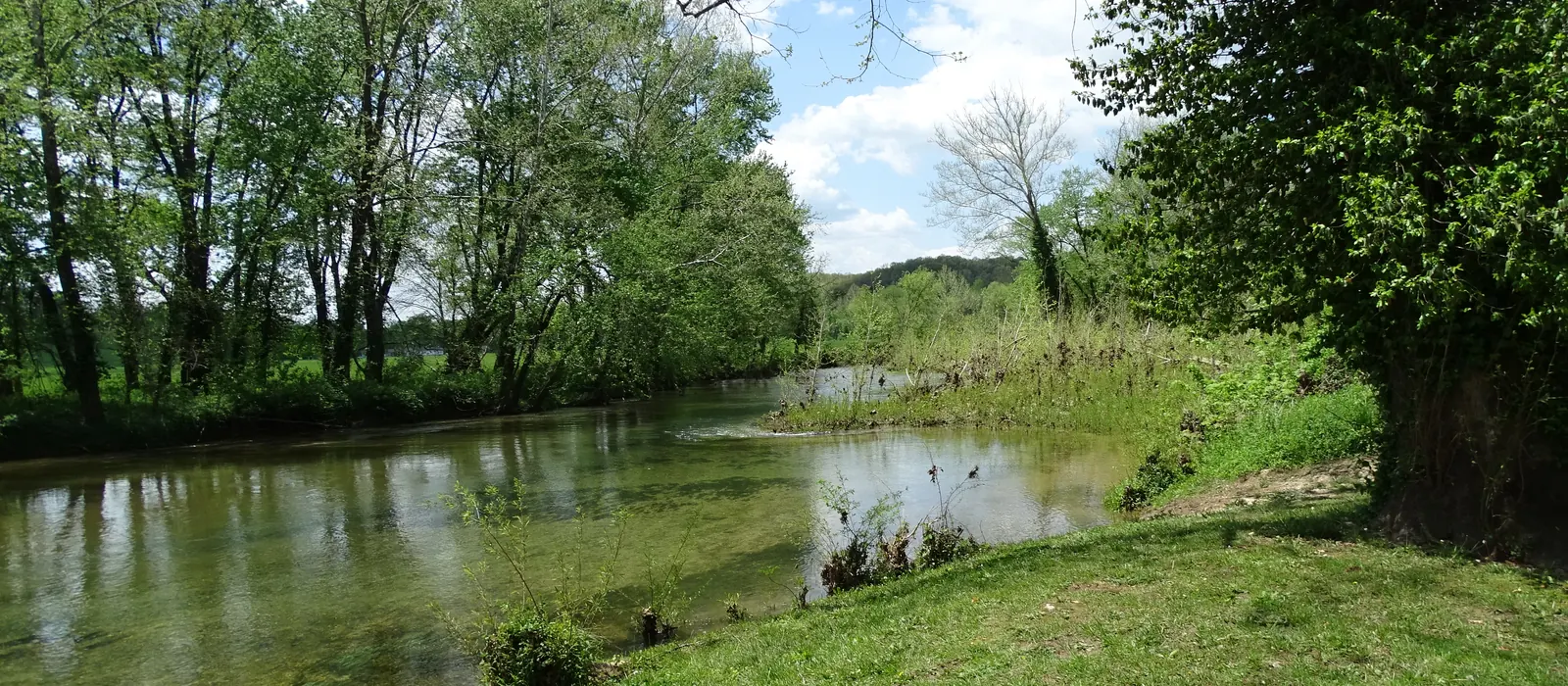 Roubidoux Spring and creek in Waynesville