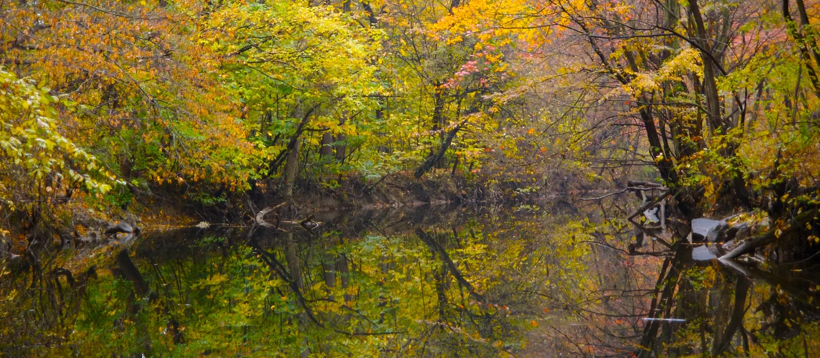 Autumn color along the Little Patuxent River near Columbia