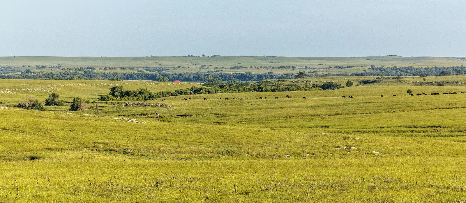 Rolling prairie in the Flint Hills of Kansas