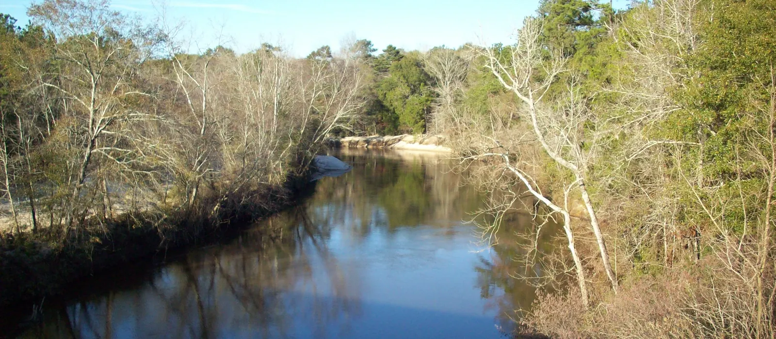 The Choctawhatchee River near Daleville