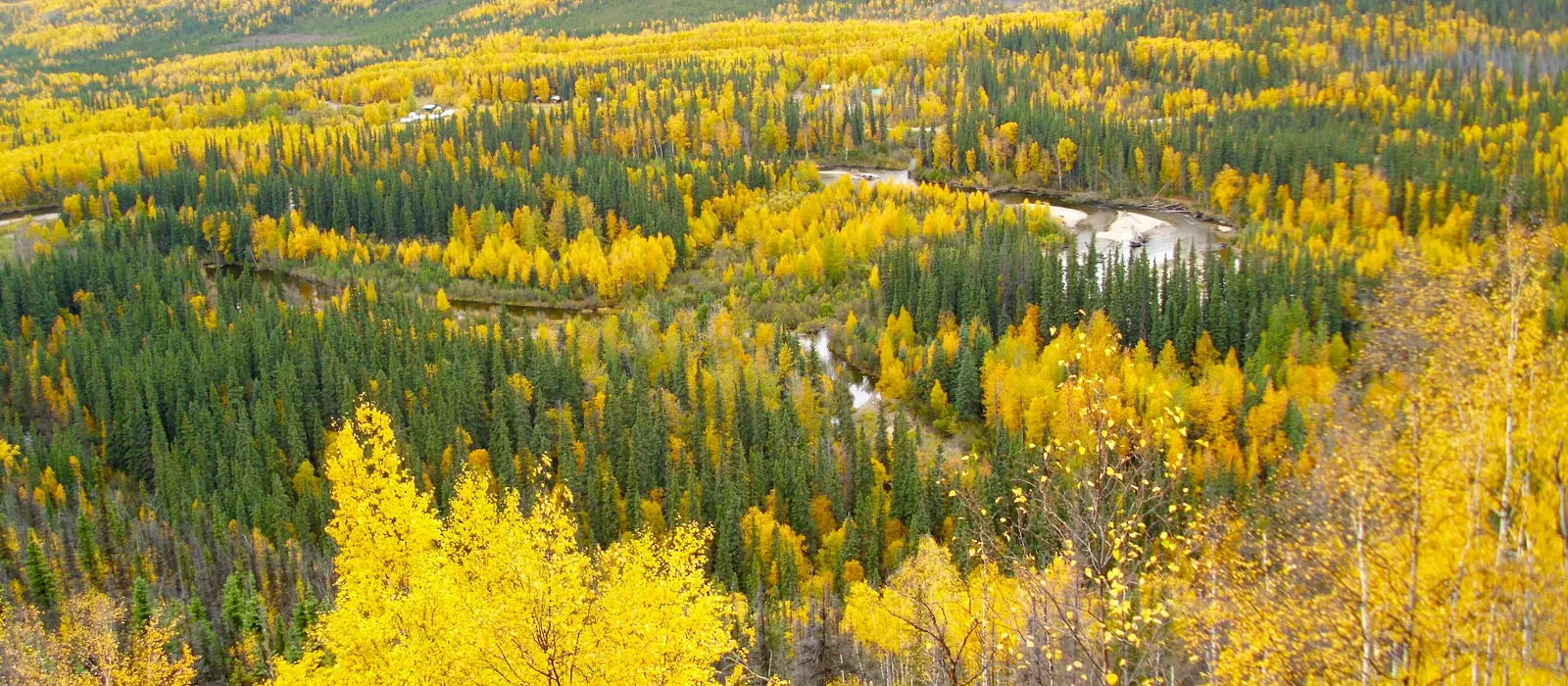 The Chena River valley near Fairbanks