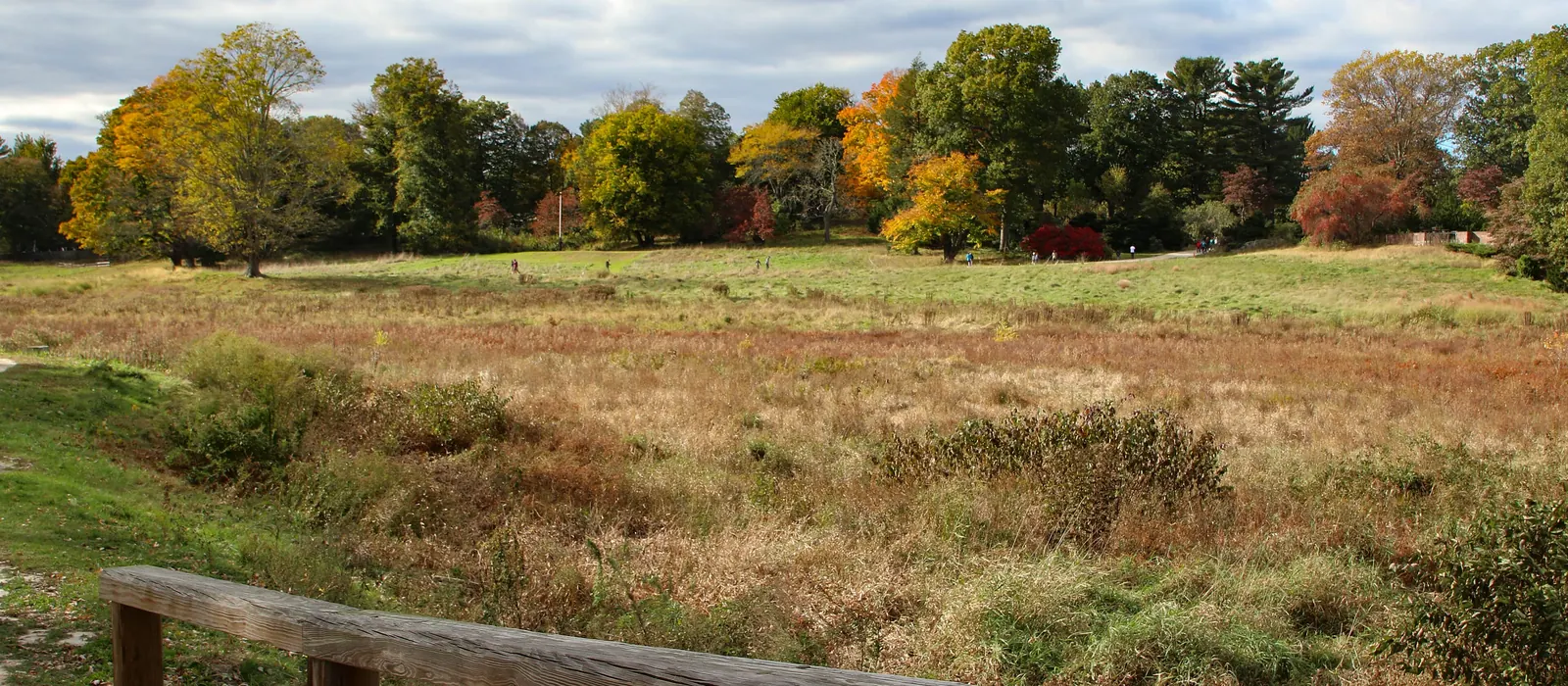 Autumn field along the Battle Road near Lexington