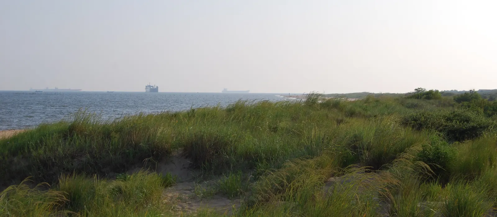 First Landing State Park on the Chesapeake Bay
