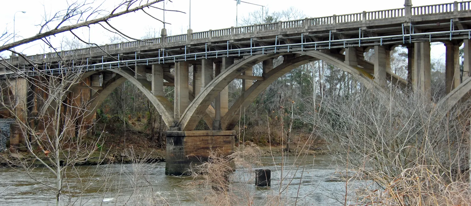 The Flint River at Albany