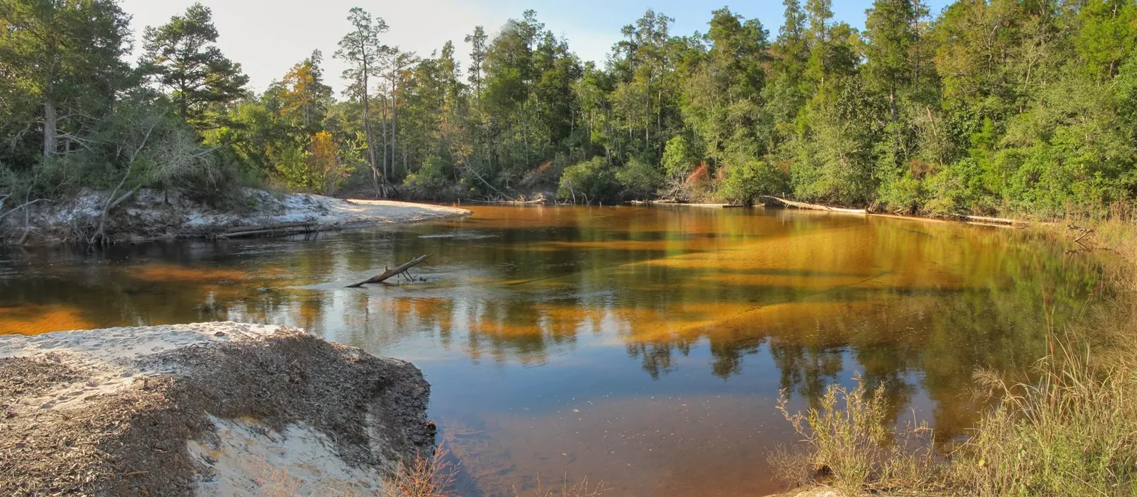 The Blackwater River from the big sand bar