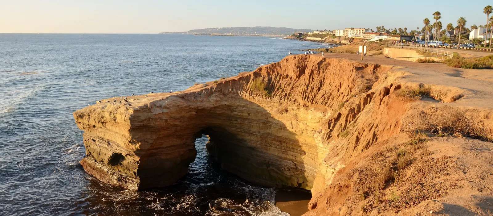 Sea cliffs at Sunset Cliffs in Point Loma