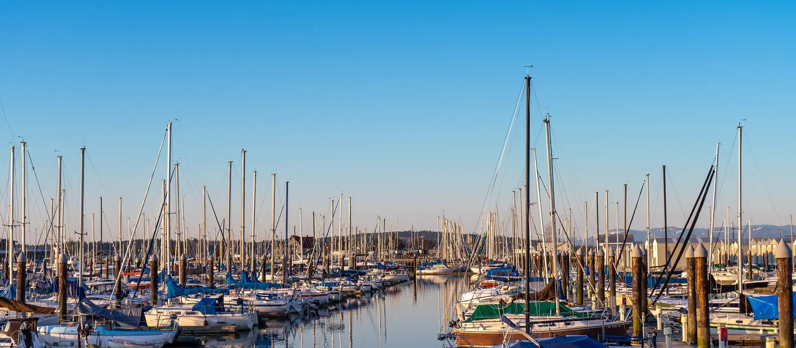 Boats at the Everett marina in the late afternoon