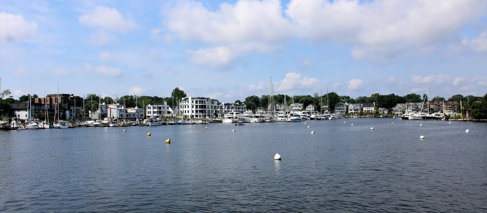 Sailboats and homes along Spa Creek in Annapolis