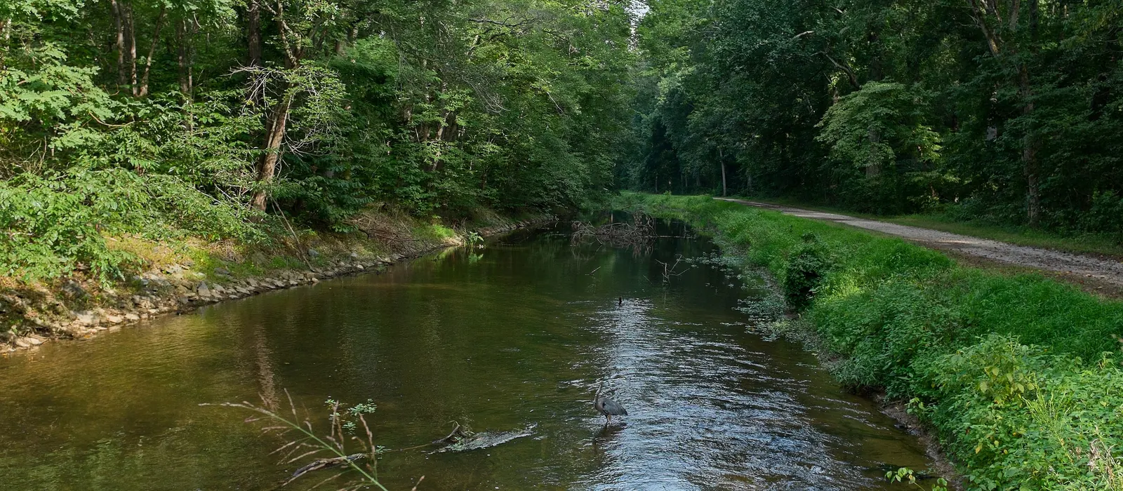 The C&O Canal and towpath near Carderock