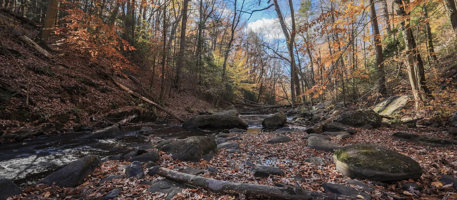 Autumn along the Black River in Morris County