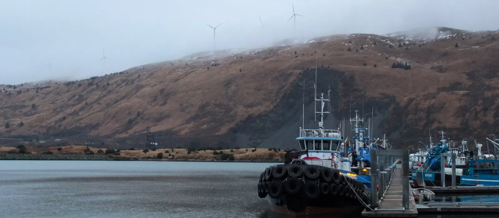Boats moored in Kodiak Harbor below the hills
